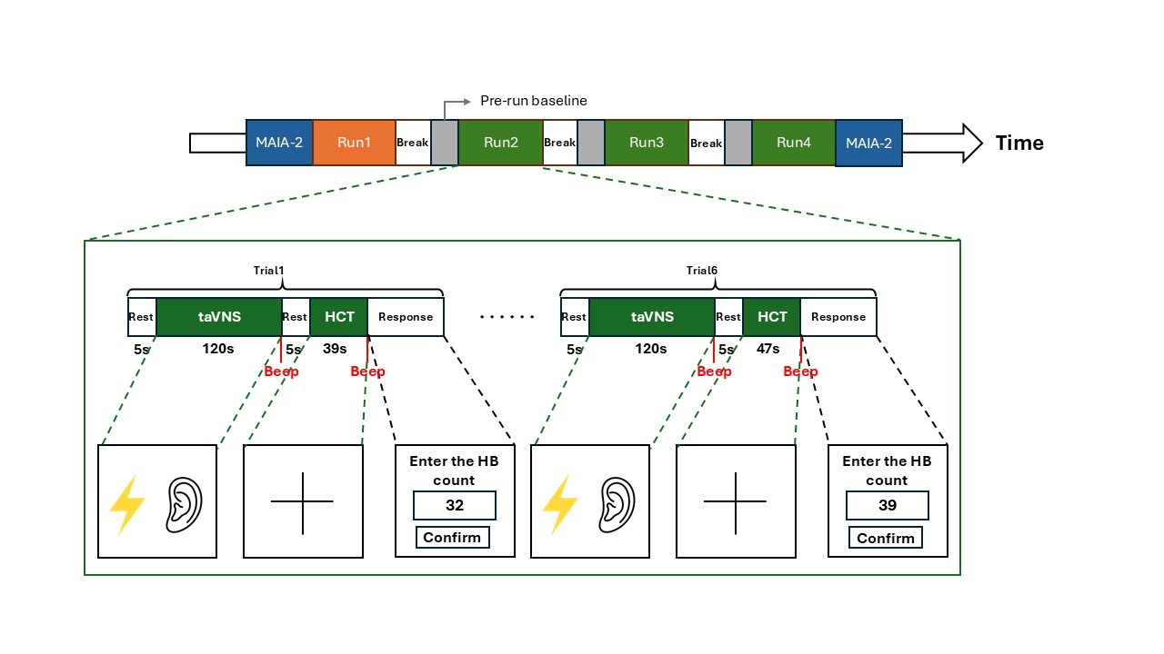 Experiment Flow Diagram